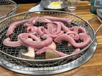 부산 꼼장어의 모든 것 – 먹장어의 매력과 명소 탐방 3 꼼장어