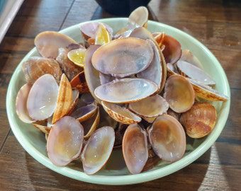 바지락