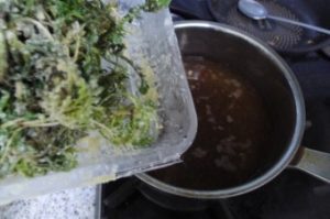 봄 향기 가득! 15분 완성 시장표 냉이된장찌개 레시피 🌿 2 냉이된장찌개