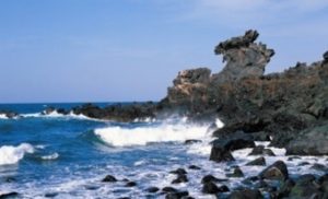 제주 공항 근처 3곳 추천! 렌터카 없이 즐기는 알짜 여행 코스 3 제주 공항