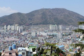 부산 꽃마을 숨은 맛집 3곳! 푸짐한 오리고기 맛집 추천 2 부산꽃마을 1 1751986257577