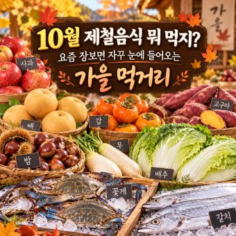 11월 제철 먹거리 1 1792570041209
